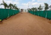 Agriculture Farmhouse Plots for Sale in Uddamarri – Muduchintalapalli