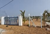 Agriculture Farmhouse Plots for Sale in Uddamarri – Muduchintalapalli