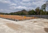 Open Plots for Sale in Dokiparru, Guntur