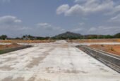 Open Plots for Sale in Dokiparru, Guntur