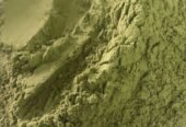 Organic Moringa Powder | Wholesale Business