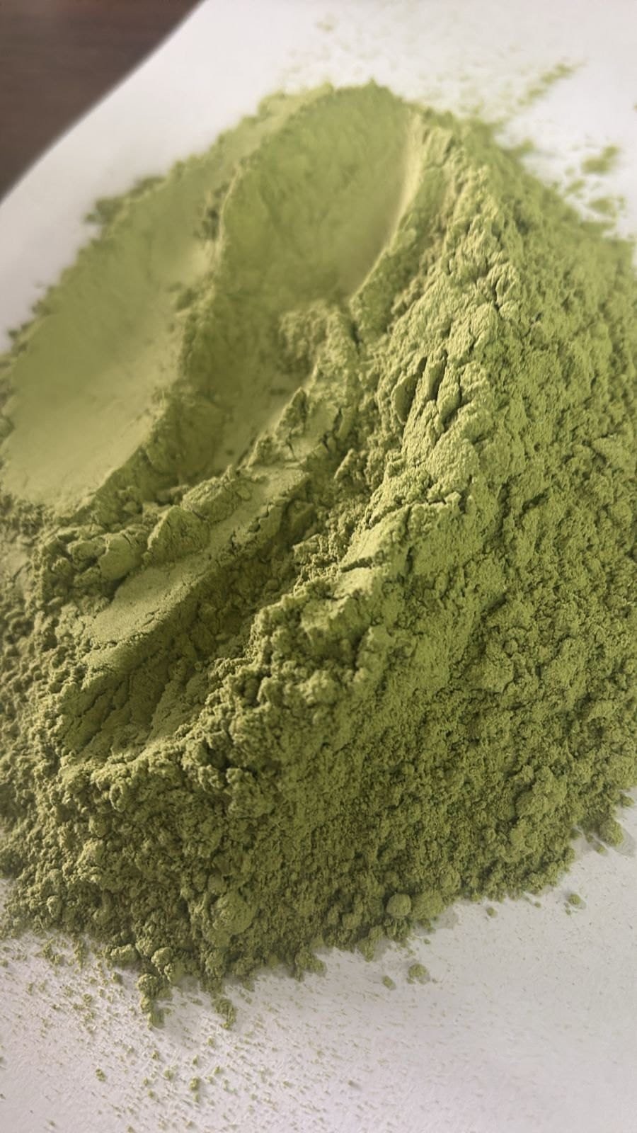 Organic Moringa Powder | Wholesale Business