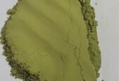 Organic Moringa Powder | Wholesale Business