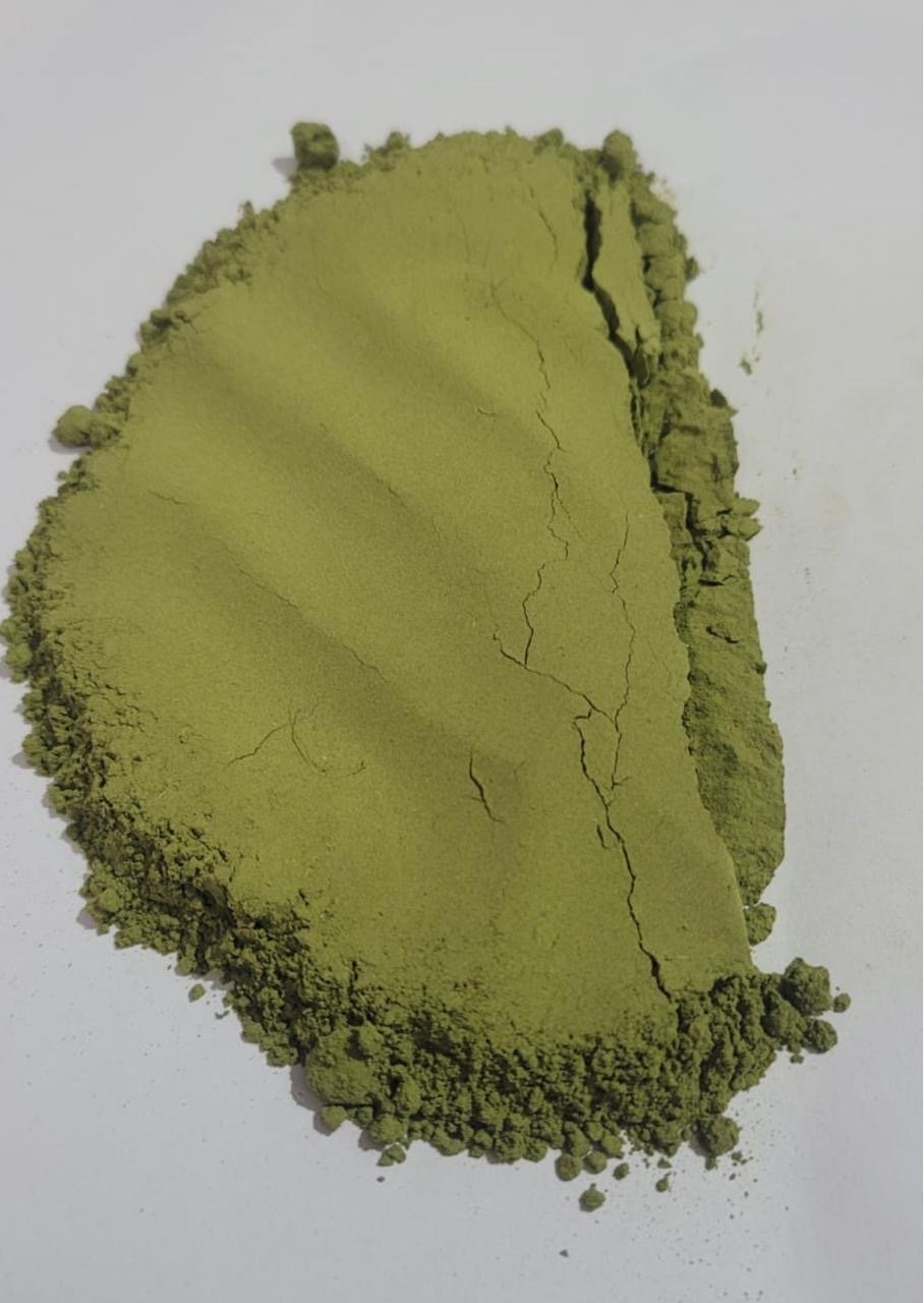Organic Moringa Powder | Wholesale Business