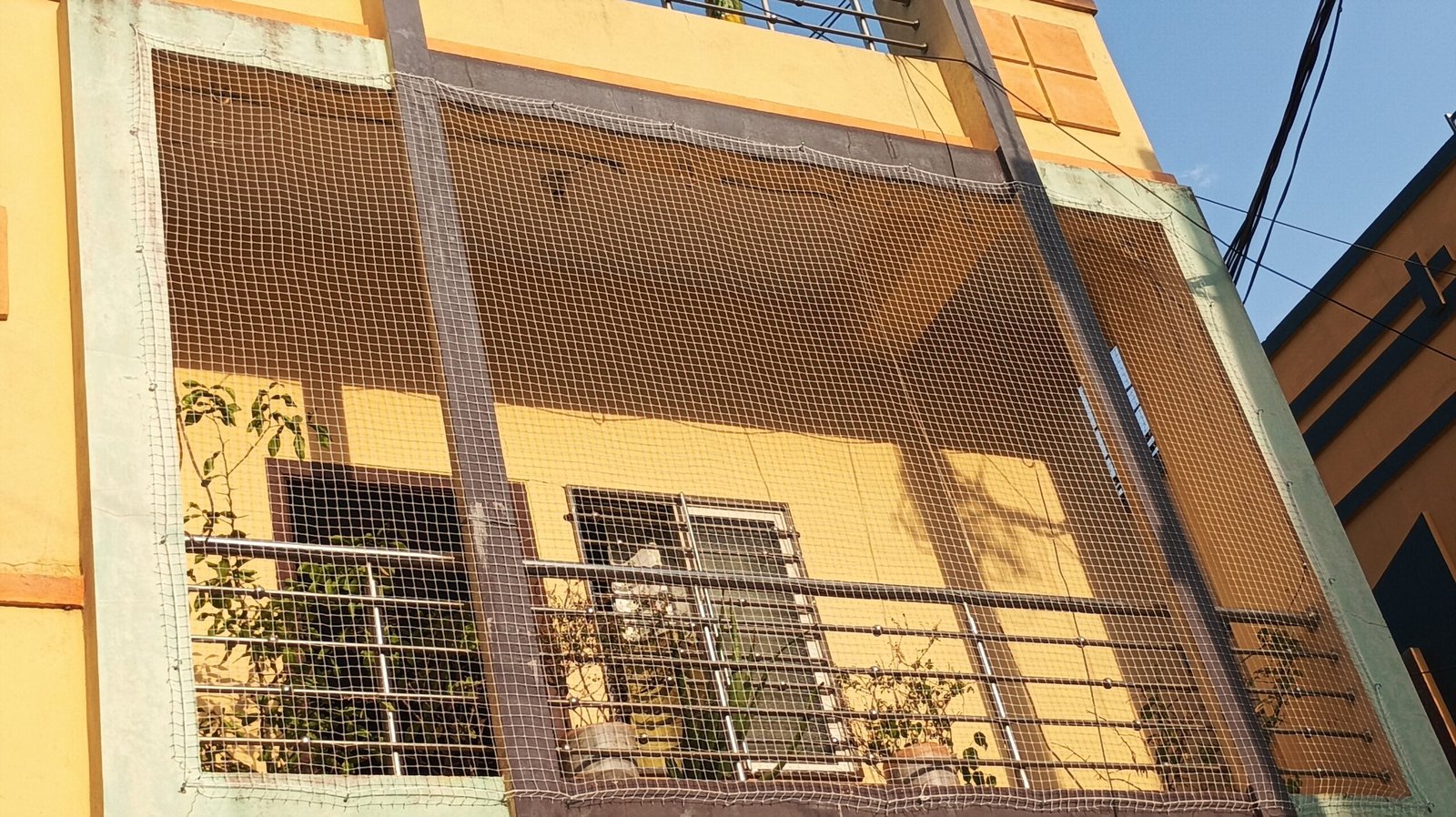 Pigeon Safety Nets for Balcony & Windows | Premium Installation Services