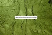 Organic Moringa Powder | Wholesale Business