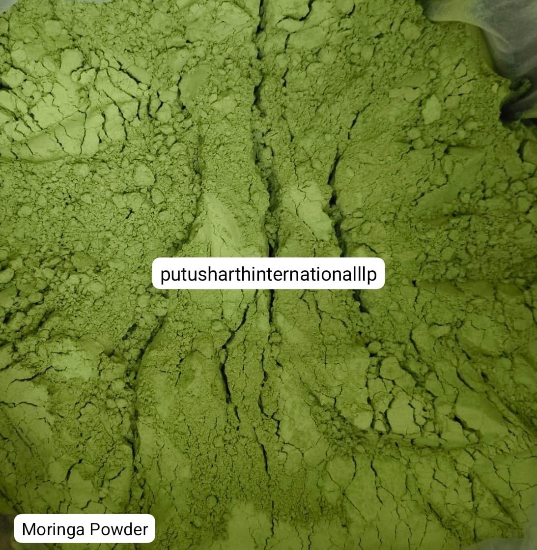 Organic Moringa Powder | Wholesale Business