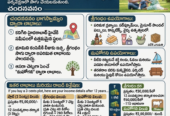 Premium sandalwood farmland project