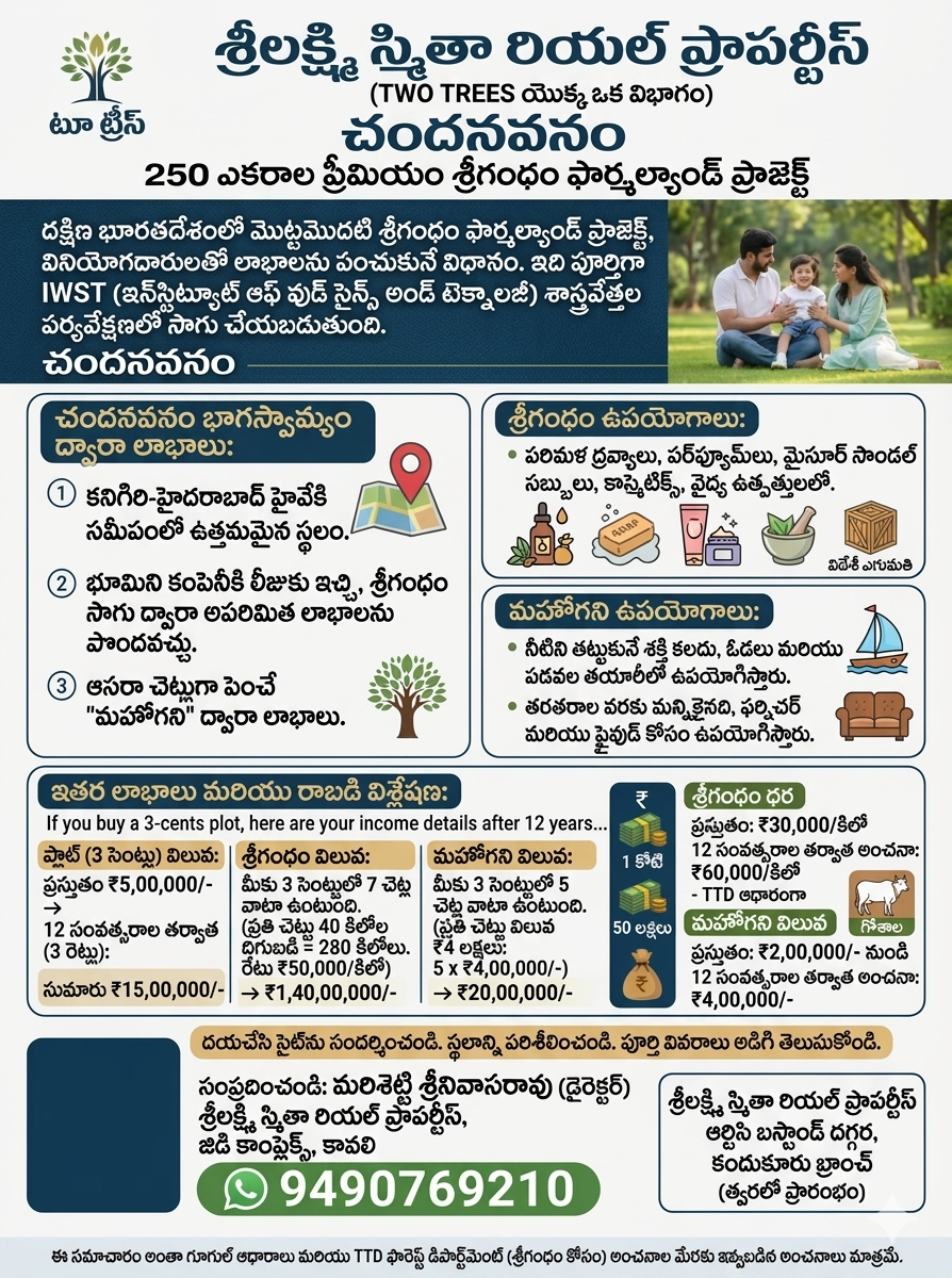 Premium sandalwood farmland project