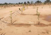 Farm Plots for Sale on Sagar Highway – Chinthapally
