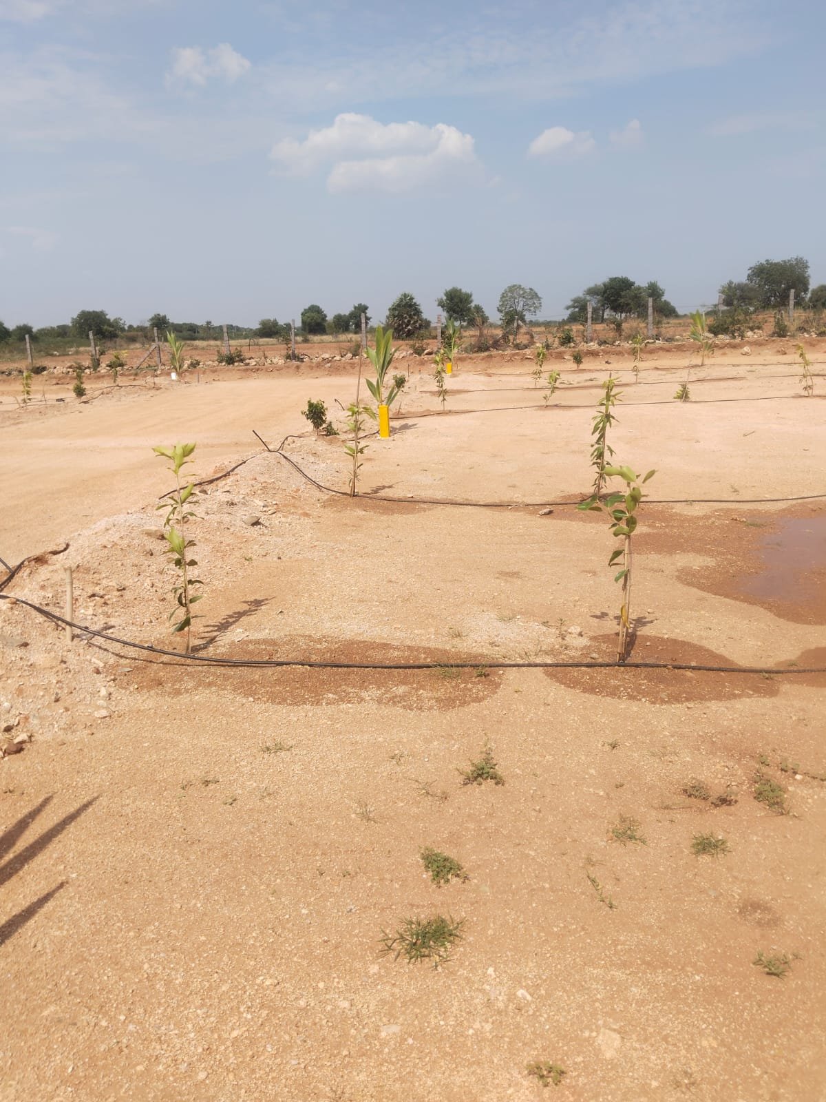Farm Plots for Sale on Sagar Highway – Chinthapally