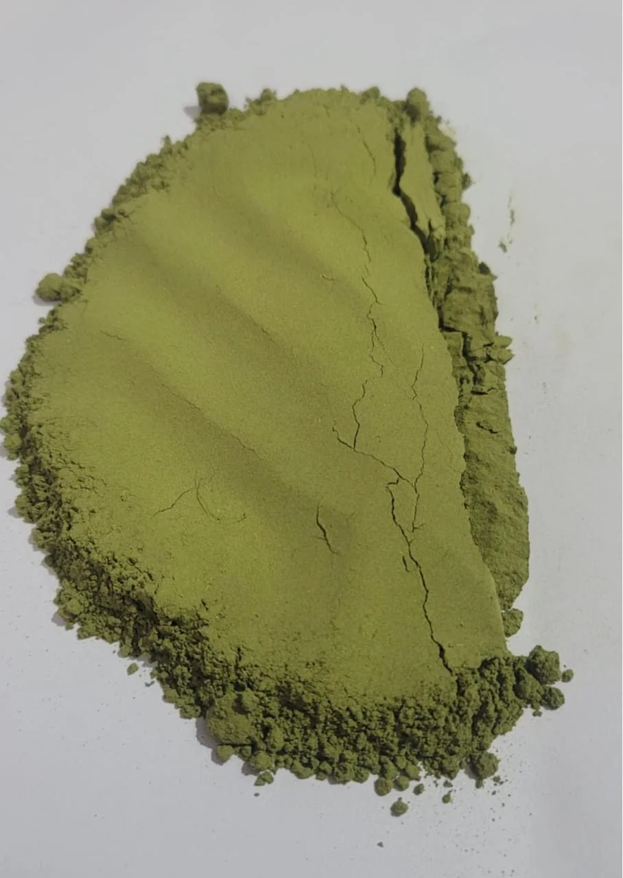 Premium Organic Moringa Powder For Sale – Low Price