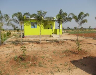 Home 12 1000105511