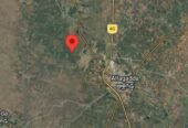 Agricultural Land for Sale in Allagadda | 10 Acres Pure Black Soil