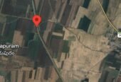 Agricultural Land for Sale in Allagadda | 10 Acres Pure Black Soil