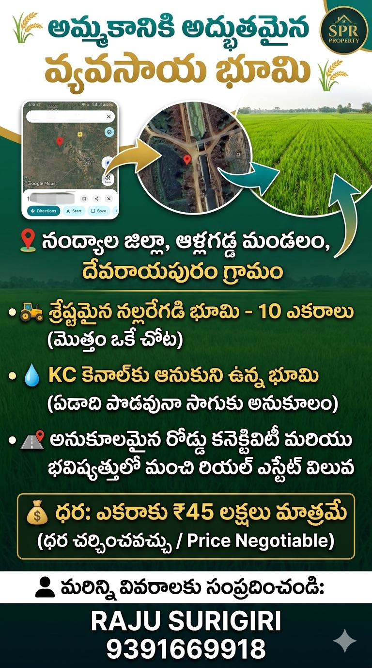 Agricultural Land for Sale in Allagadda | 10 Acres Pure Black Soil