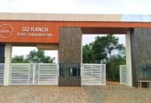 Sandalwood Plots for Sale in Telangana | USM Infra DTCP Farmland