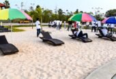 Sandalwood Plots for Sale in Telangana | USM Infra DTCP Farmland