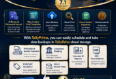 Tally Solutions Hyderabad | Tally Prime Sales & Implementation