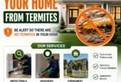 Pest Control Services in Hyderabad
