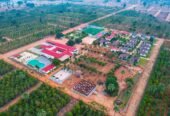 Sandalwood Plots for Sale in Telangana | USM Infra DTCP Farmland