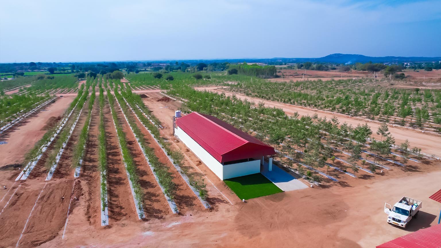 USM Mycity Go Valley | Premium Sandalwood Plots for Sale