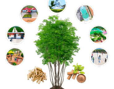 usm-infra-go-ranch-sandalwood-farm-plots-tree-diagram