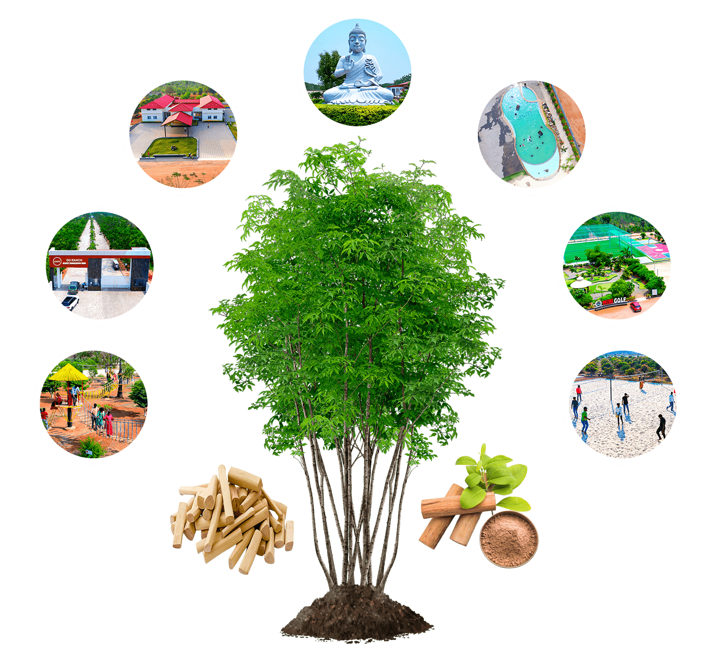 Sandalwood Plots for Sale in Telangana | USM Infra DTCP Farmland