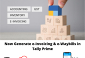 Tally Solutions Hyderabad | Tally Prime Sales & Implementation