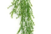 Shweta Enterprises – Artificial Plants, Artificial Grass & Vertical Garden Mats in Hyderabad